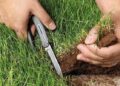 Засіяв ячменем землі залізниці: на Вознесенщині судитимуть чоловіка за самовільне захоплення 6,3 га ріллі