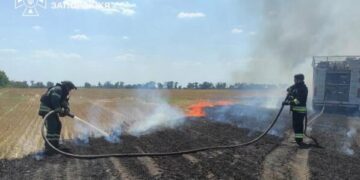 У Запорізькій області ворожі атаки спричинили 20 пожеж, – ДСНС