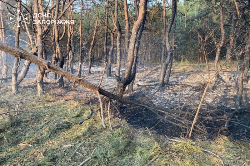 У Запорізькій області ворожі атаки спричинили 20 пожеж, – ДСНС