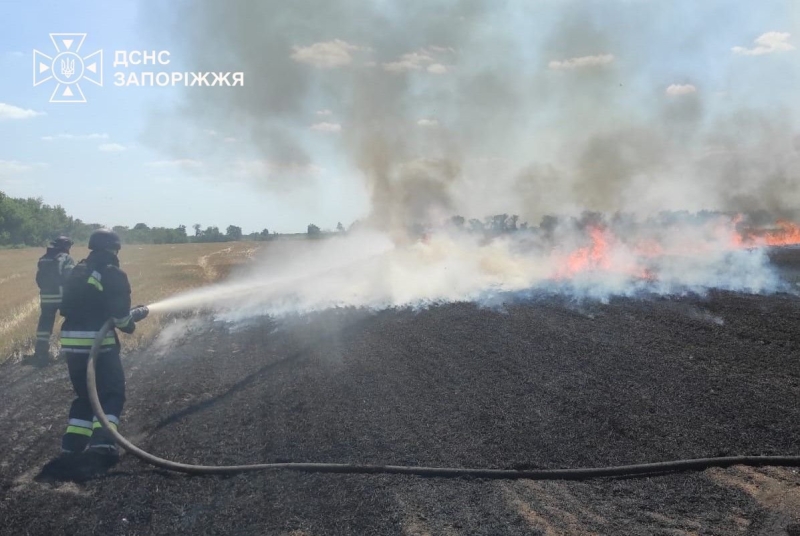 У Запорізькій області ворожі атаки спричинили 20 пожеж, – ДСНС