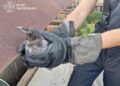 У Запоріжжі бійці ДСНС витягнули птаха, який застряг у вентиляційній шахті