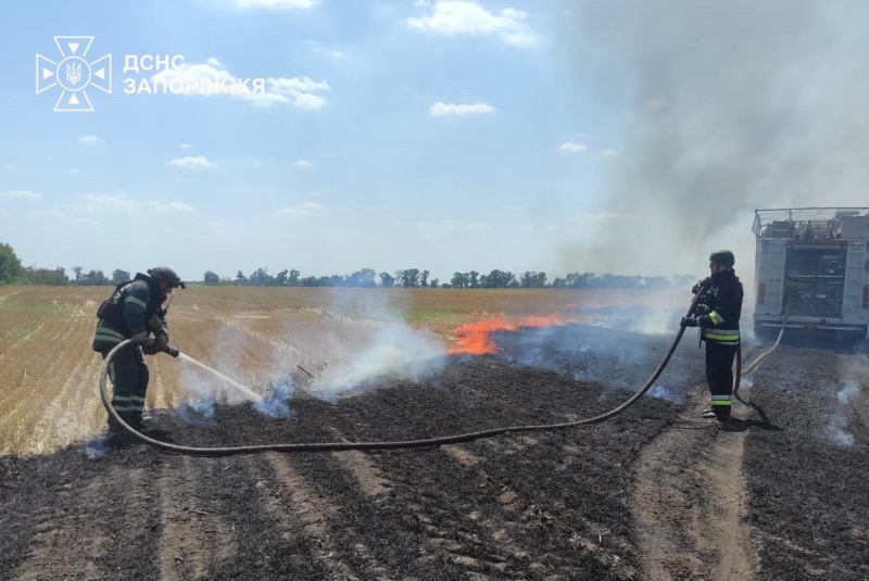 У Запорізькій області ворожі атаки спричинили 20 пожеж, – ДСНС
