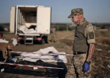 Колючий дріт на тлі похмурого неба