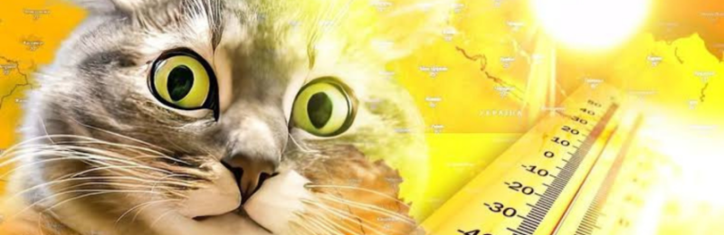 Майже +36°C: на Миколаївщині зафіксували температурні максимуми