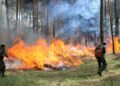 На Дніпропетровщині надзвичайно завелика спека і тому в області оголосили високий рівень пожежної небезпеки