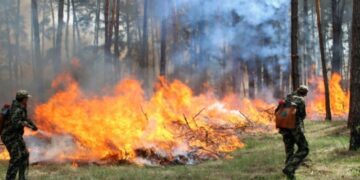На Дніпропетровщині надзвичайно завелика спека і тому в області оголосили високий рівень пожежної небезпеки