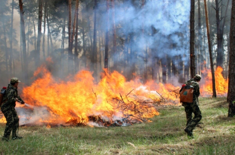 На Дніпропетровщині надзвичайно завелика спека і тому в області оголосили високий рівень пожежної небезпеки