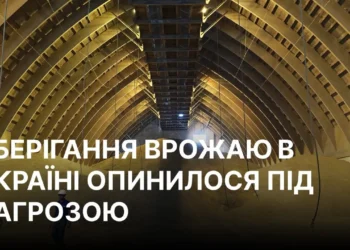 Поле пшениці біля зруйнованого елеватора