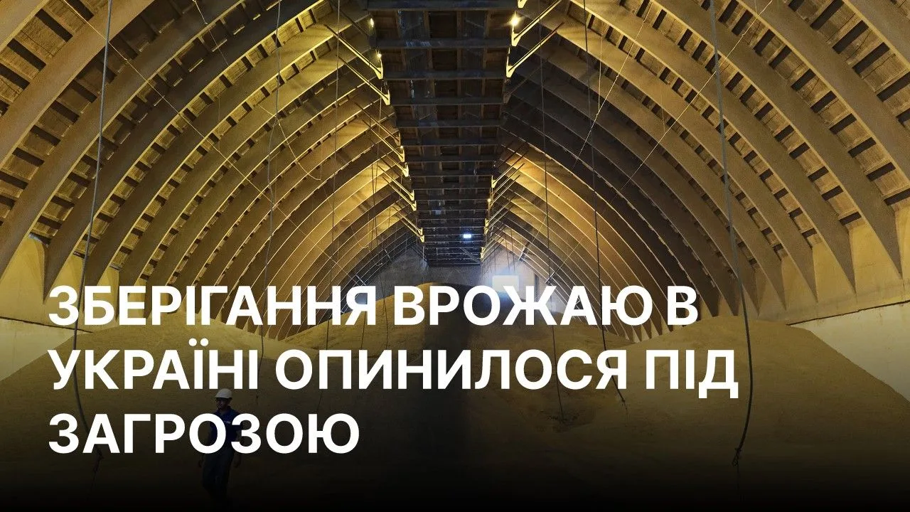 Поле пшениці біля зруйнованого елеватора