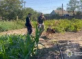 Поліцейські автомобілі на місці слідчих дій в селі