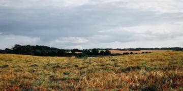 Синоптична карта атмосферних фронтів над Україною