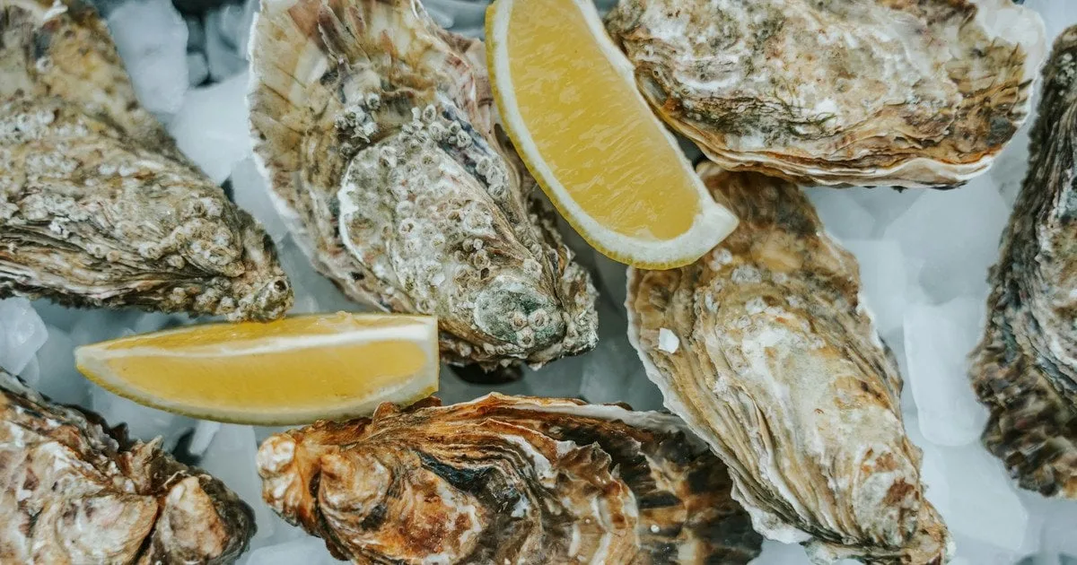 Тарілка з різними видами морепродуктів на пару