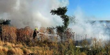 Вогонь охопив понад 43 гектари: на Миколаївщині рятувальники ліквідували десятки пожеж, – ФОТО