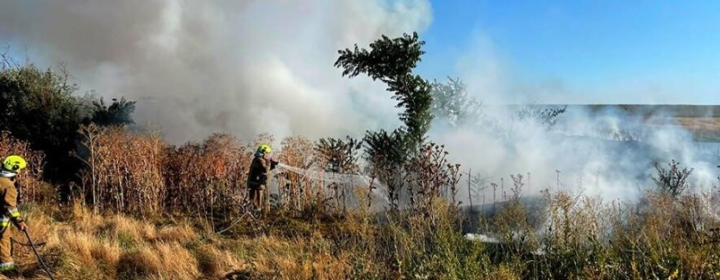 Вогонь охопив понад 43 гектари: на Миколаївщині рятувальники ліквідували десятки пожеж, - ФОТО