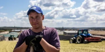 Земельна ділянка з межовими знаками на полі