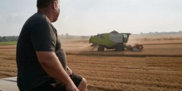 Зерновий термінал українського чорноморського порту