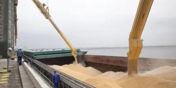 Зерновий термінал в українському порту