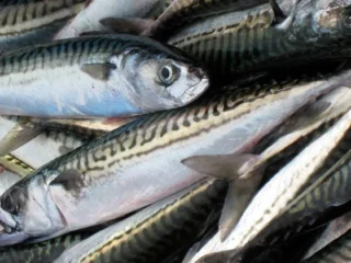 Продукти з магнієм, які містять більше цього мінералу, ніж мигдаль