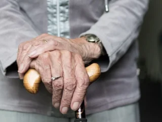 Чому одні органи старіють швидше за інші і що про це кажуть білки крові