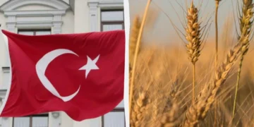 Морський порт із вантажними суднами для зерна