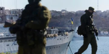 Супутниковий знімок нових елінгів біля Новоозерного