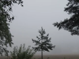 Україну чекає останнє тепло перед різким похолоданням цього тижня