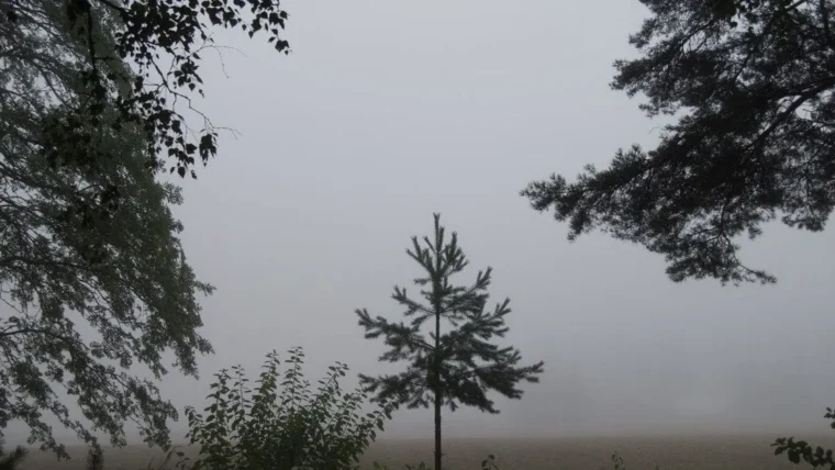 Україну чекає останнє тепло перед різким похолоданням цього тижня
