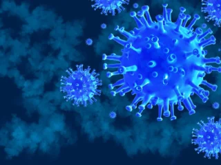 Чума в Сибіру змушує Вашингтон і ВООЗ тиснути на Москву за інформацією