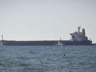 Заклик Папи Римського до безпеки зерна в Чорному морі показує, як продовольча криза стає інструментом дипломатичного тиску
